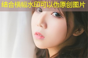 海绵城市理念在上海的实施探究